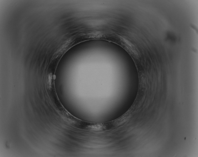 X0000091930118200709191408
