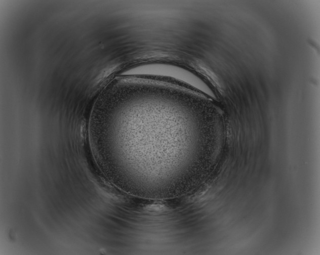 X0000091930119200709191408