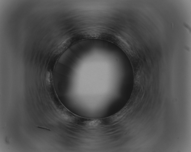 X0000091930122200709191407