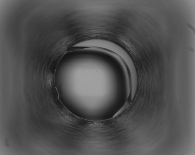 X0000091930125200709191407