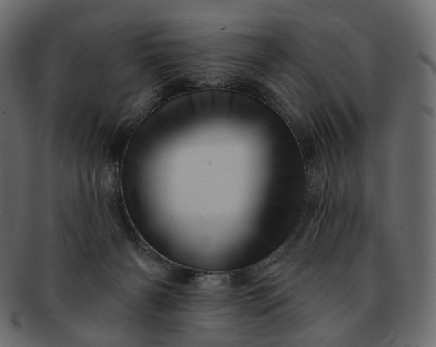 X0000091930126200709191407