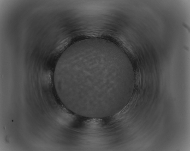 X0000091930128200709191407