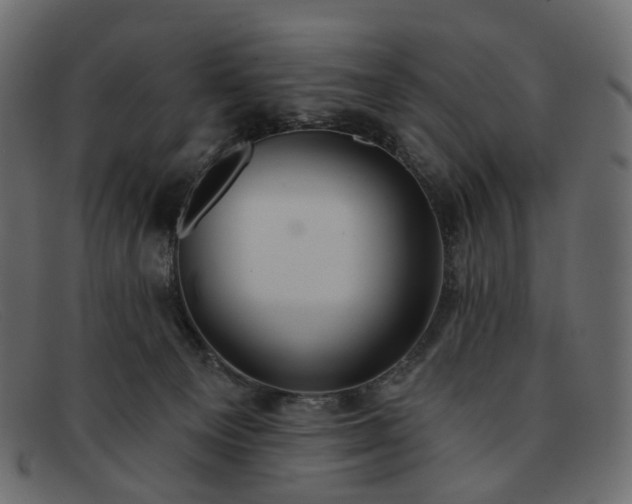 X0000091930129200709191407