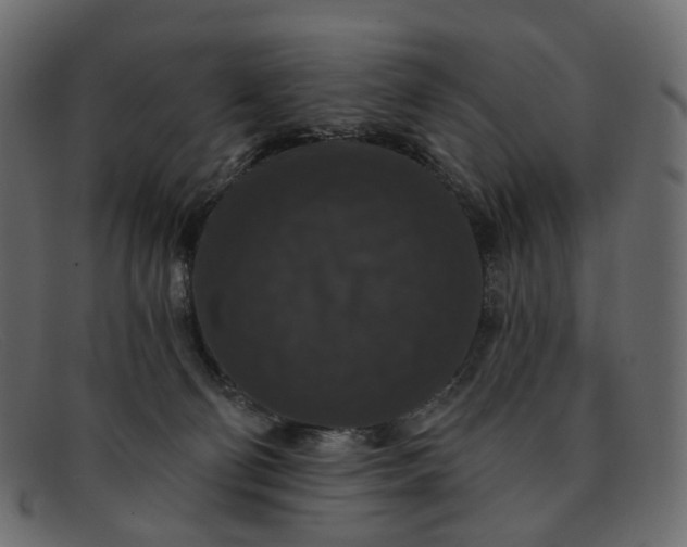 X0000091930130200709191407