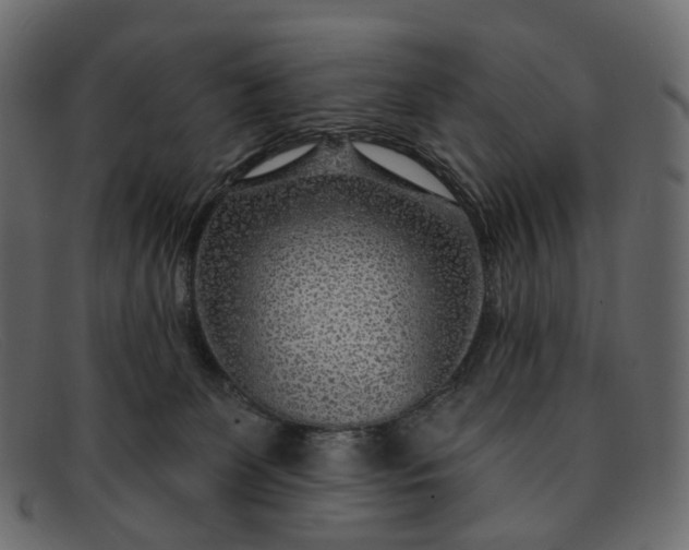 X0000091930131200709191407