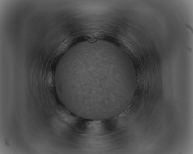 X0000091930132200709191407