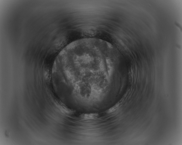 X0000091930134200709191407