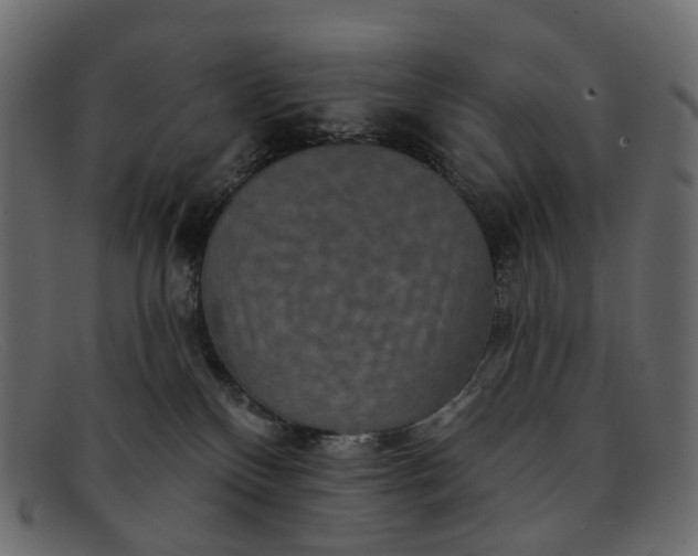 X0000091930136200709191407