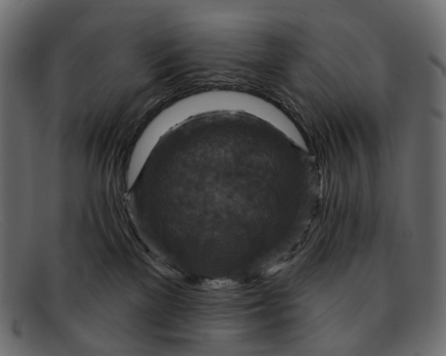 X0000091930137200709191407