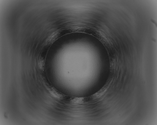 X0000091930138200709191407