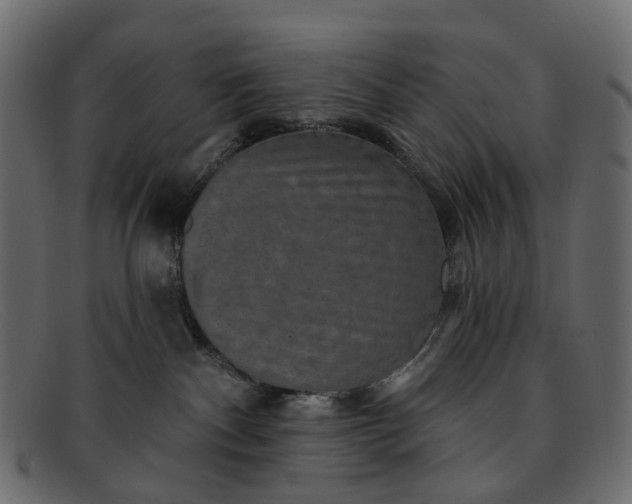 X0000091930140200709191407