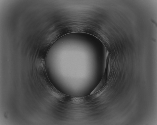X0000091930141200709191407
