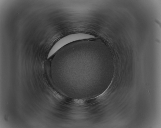 X0000091930144200709191407