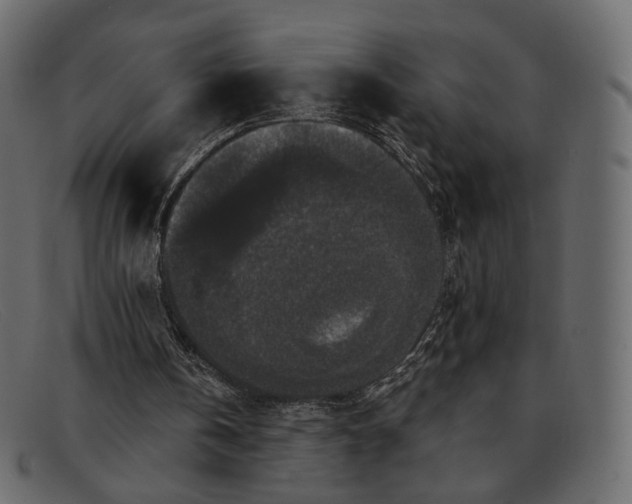 X0000091930146200709191407