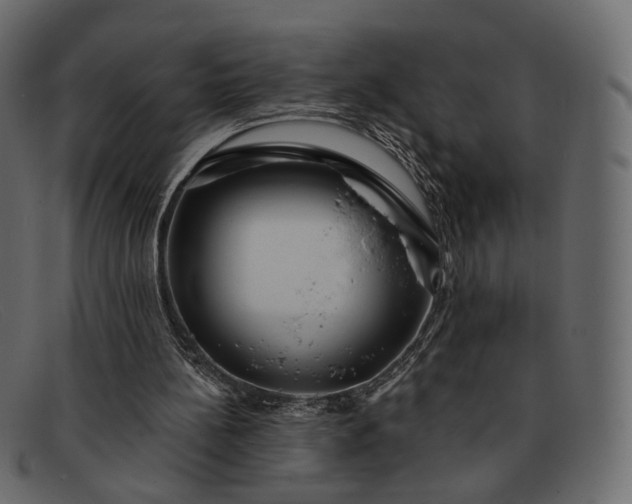 X0000091930148200709191407
