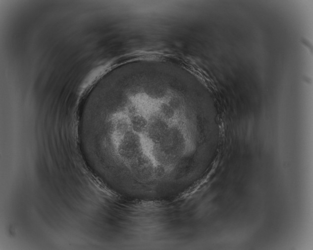 X0000091930149200709191407
