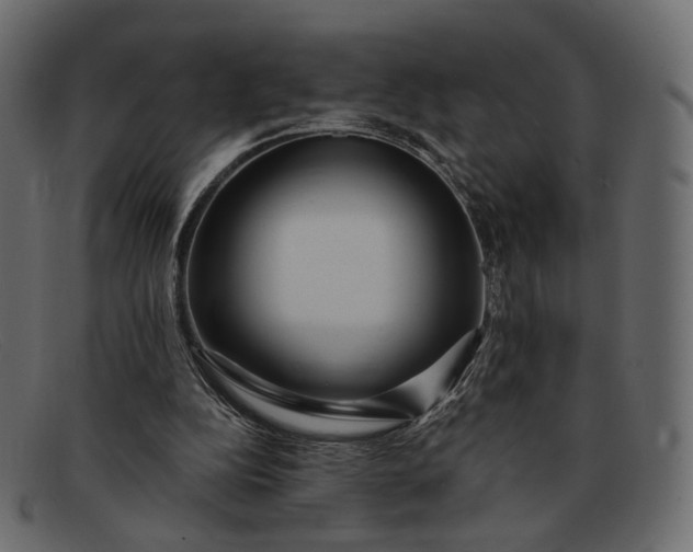 X0000091930152200709191407