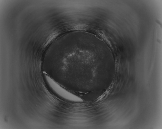 X0000091930154200709191407