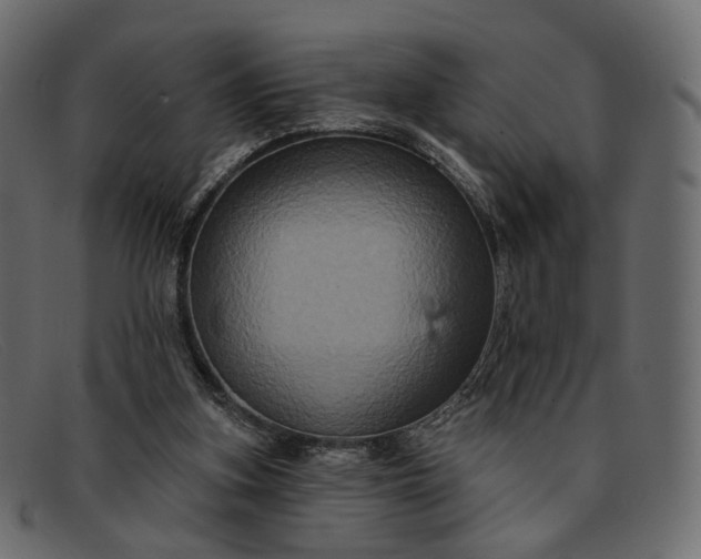 X0000091930155200709191407