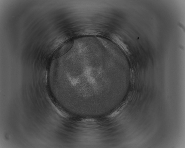 X0000091930157200709191407