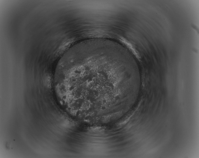 X0000091930161200709191407