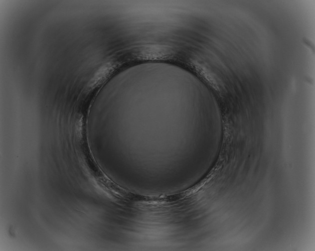 X0000091930163200709191407