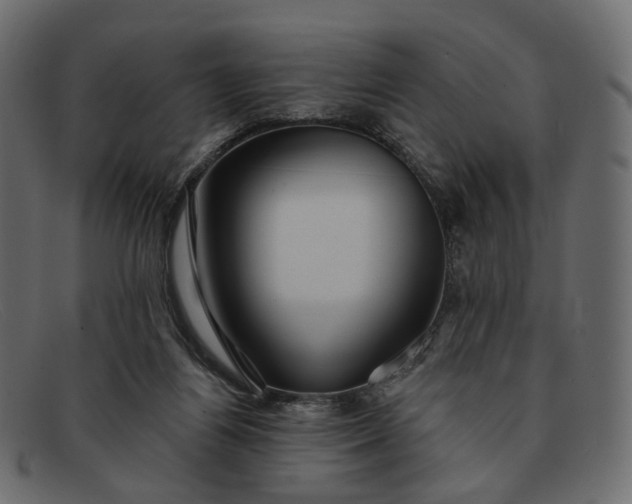 X0000091930164200709191407