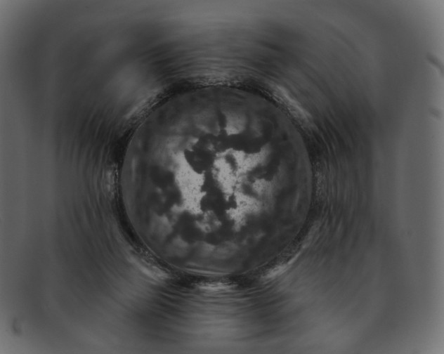 X0000091930165200709191407