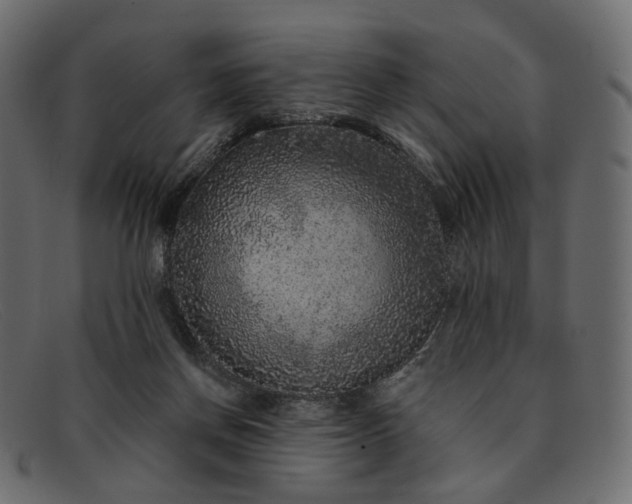 X0000091930166200709191407