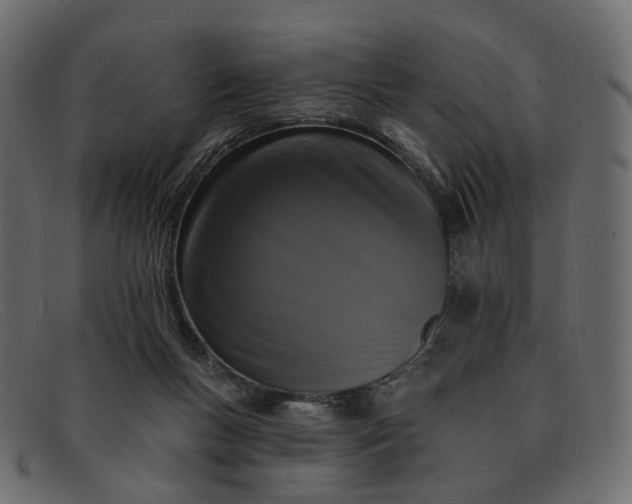 X0000091930167200709191407