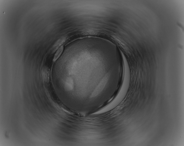 X0000091930168200709191407