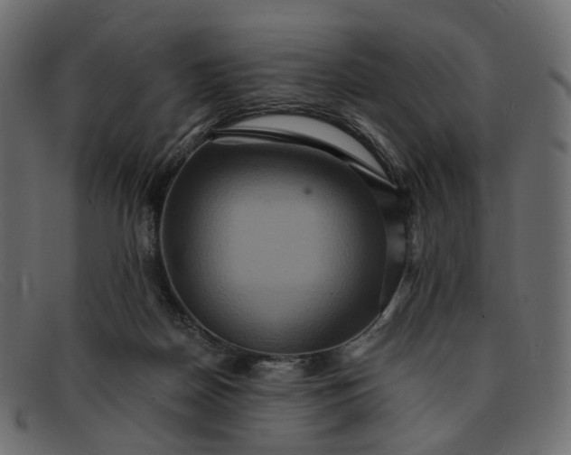X0000091930170200709191407
