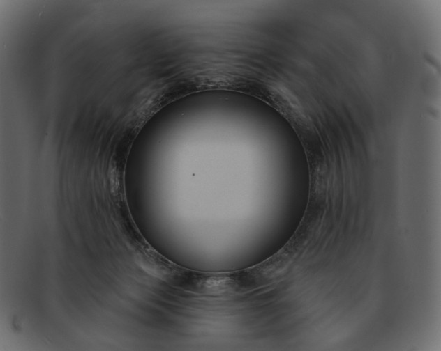X0000091930173200709191407