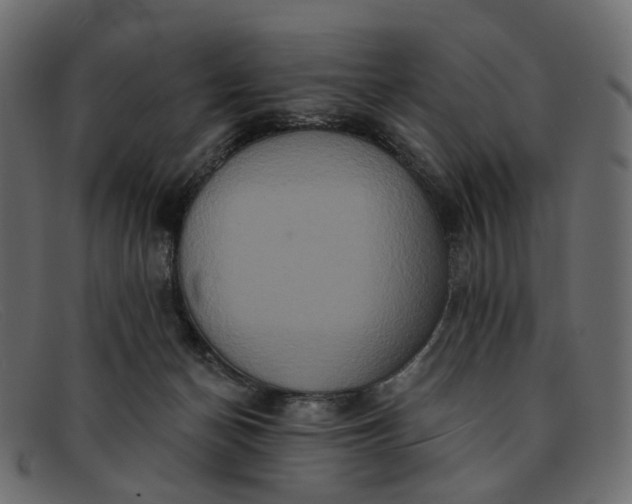 X0000091930174200709191407