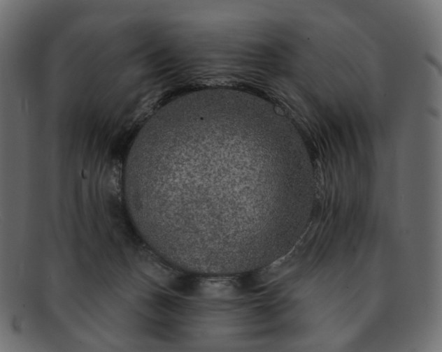 X0000091930175200709191407