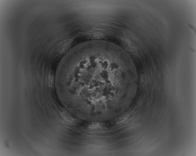 X0000091930177200709191407