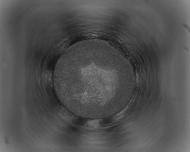 X0000091930178200709191407