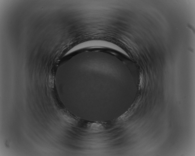 X0000091930180200709191407