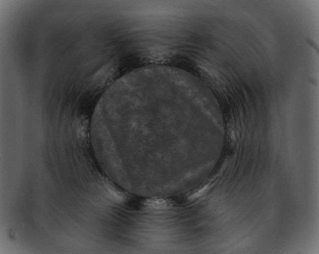 X0000091930181200709191407