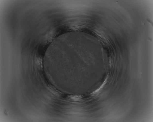 X0000091930182200709191407