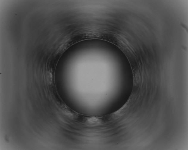 X0000091930183200709191407