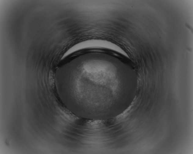 X0000091930186200709191407