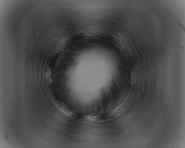 X0000091930187200709191407