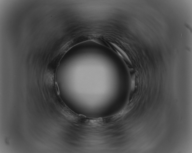 X0000091930188200709191407