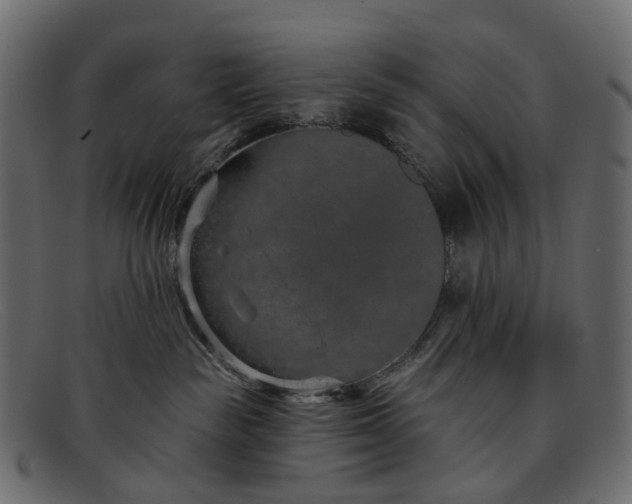 X0000091930189200709191407