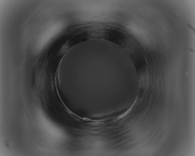 X0000091930191200709191407