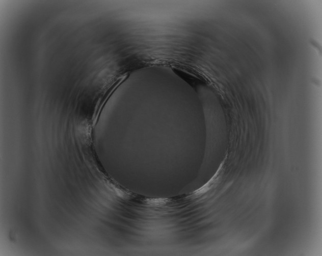 X0000091930192200709191407