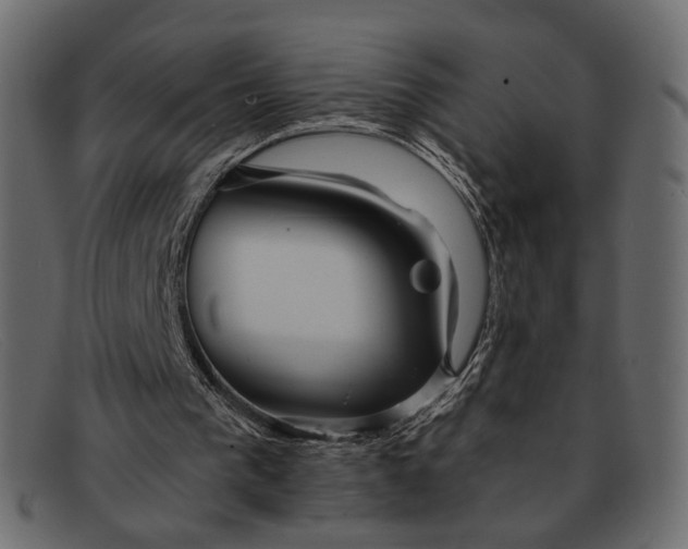 X0000091930193200709191407