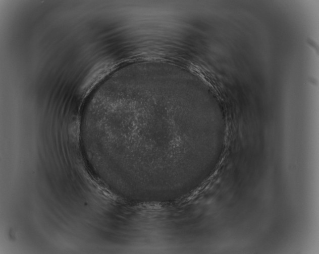 X0000091930194200709191406
