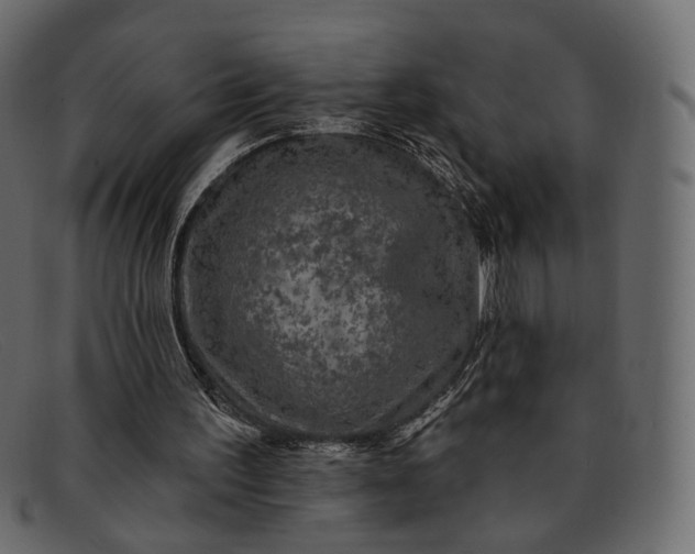 X0000091930195200709191406